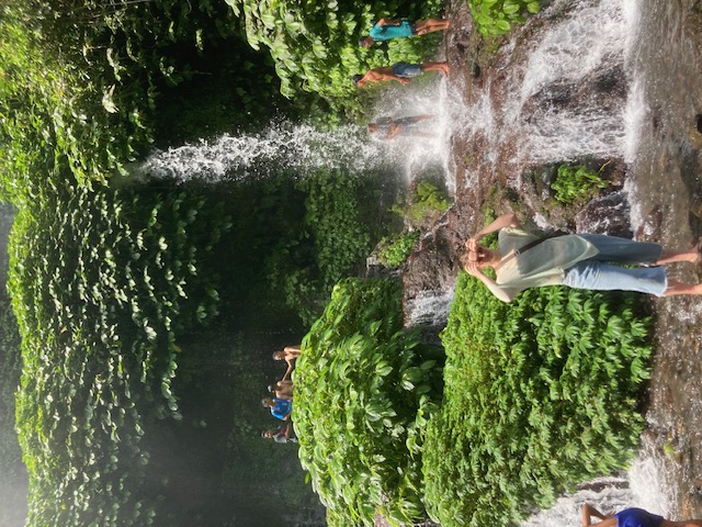 Rose at a waterfall.